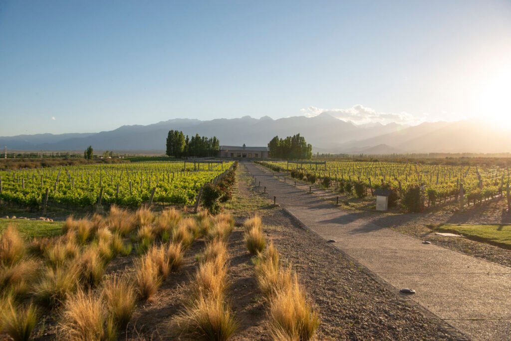 Wijngaarden van Salentein aan de voet van de Andes in Argentinië